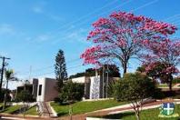 Prefeita de Cruzeiro do Oeste lança o “Primesauro na Tábua”
