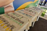 Casa Fácil Paraná: Estado investe em novo residencial com 128 apartamentos em Cascavel