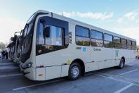 Frota da RMC ganha 46 novos ônibus com ar-condicionado e câmera de segurança