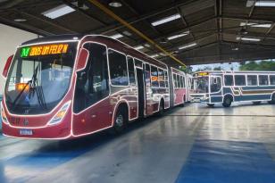 Ônibus com iluminação de Natal começam a circular na Região Metropolitana de Curitiba