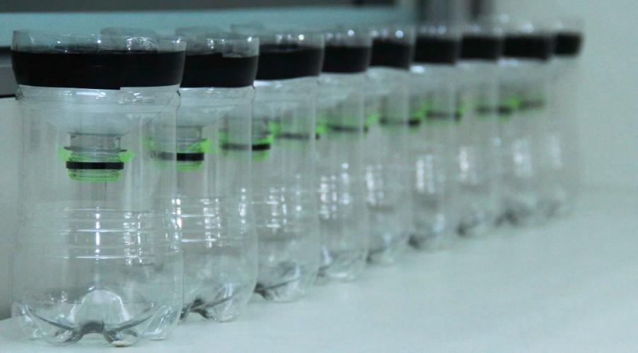 Servidor do Paranacidade/SEDU abre nova frente contra a dengue