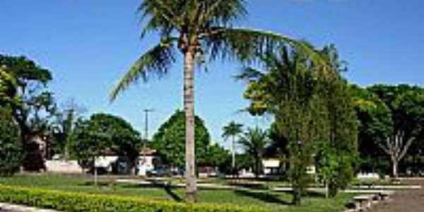 Aos 70 anos de idade, uma gestora pública incansável em busca de soluções