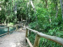 Aos 70 anos de idade, uma gestora pública incansável em busca de soluções