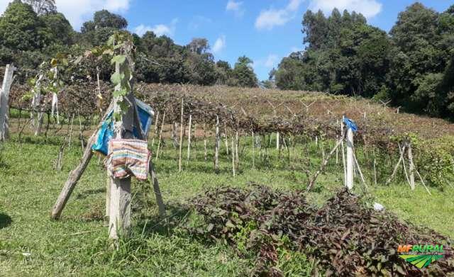 A meta é gerar empregos e retomar o desenvolvimento