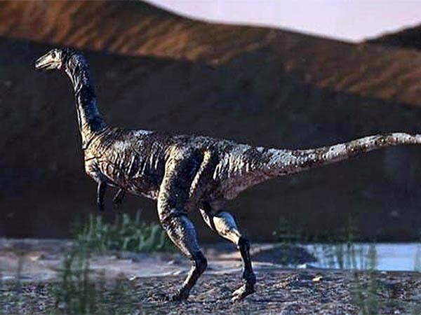 Prefeita de Cruzeiro do Oeste lança o “Primesauro na Tábua”