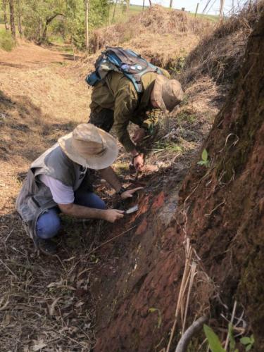 Prefeita de Cruzeiro do Oeste lança o “Primesauro na Tábua”