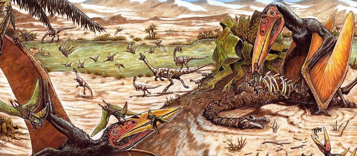 Prefeita de Cruzeiro do Oeste lança o “Primesauro na Tábua”