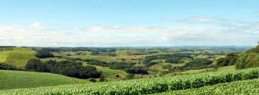 Ela queria ter recebido a Prefeitura como vai entregar ao seu sucessor