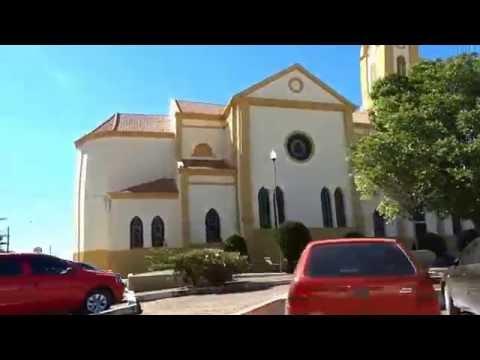 A importância da juventude e das mulheres na política do Paraná