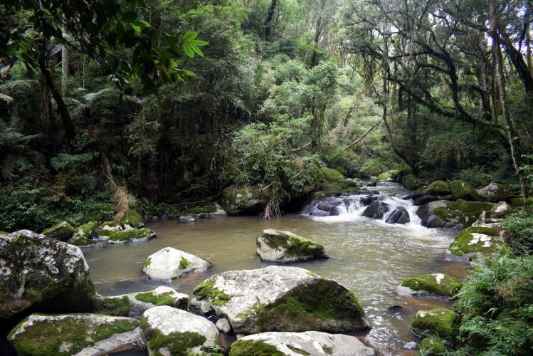 A meta é gerar empregos e retomar o desenvolvimento