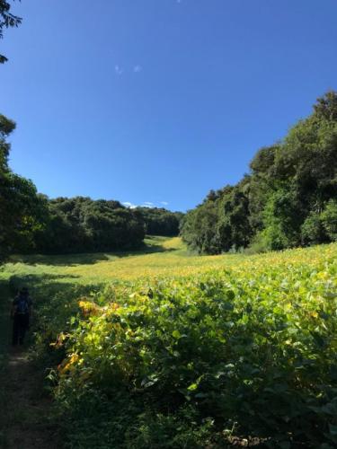 A meta é gerar empregos e retomar o desenvolvimento