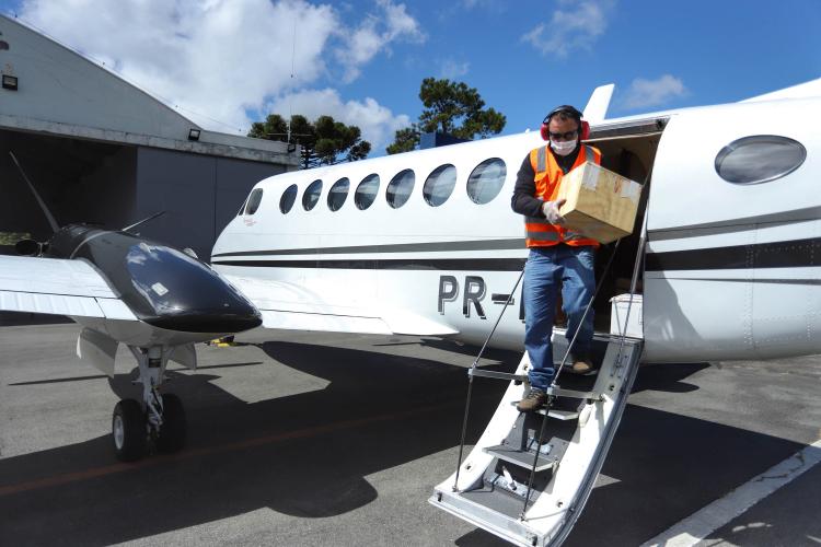 Saúde vai definir critérios para reabertura de atividades econômicas