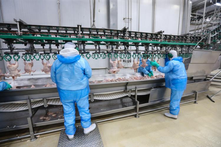 Semana é marcada por mais restrições para conter o Coronavírus