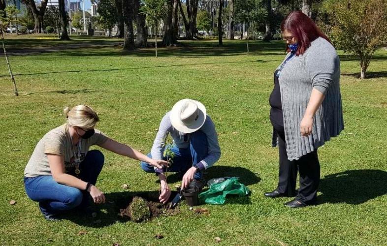 Floresce Paraná estimula reflexão sobre o voluntariado e a solidariedade
