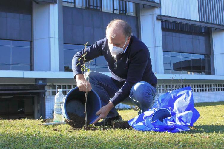 Floresce Paraná estimula reflexão sobre o voluntariado e a solidariedade