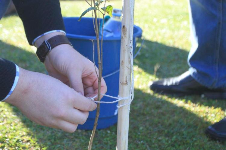Floresce Paraná estimula reflexão sobre o voluntariado e a solidariedade