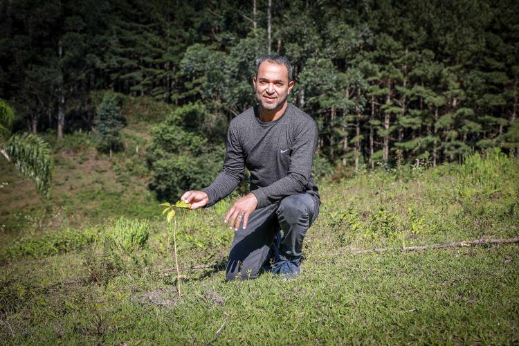 50 Municípios plantaram 87 mil árvores e, ação do Programa Asfalto Novo, Vida Nova