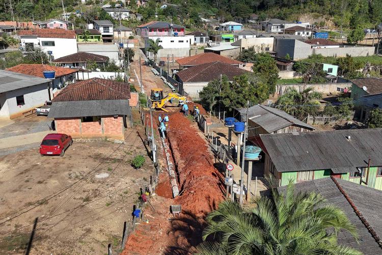 50 Municípios plantaram 87 mil árvores e, ação do Programa Asfalto Novo, Vida Nova