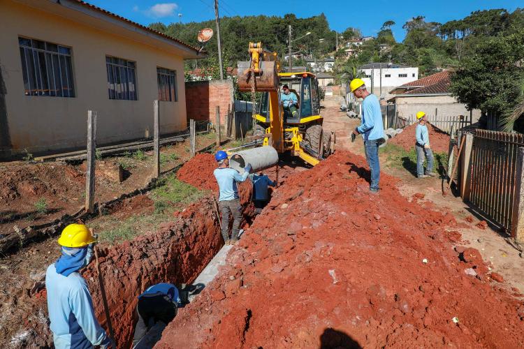 50 Municípios plantaram 87 mil árvores e, ação do Programa Asfalto Novo, Vida Nova