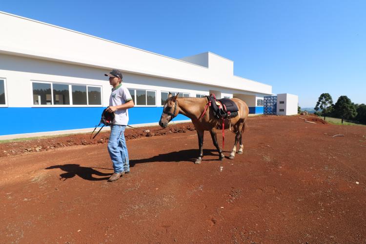 Do improviso à sede própria: com apoio do Estado, Flor da Serra do Sul terá nova APAE