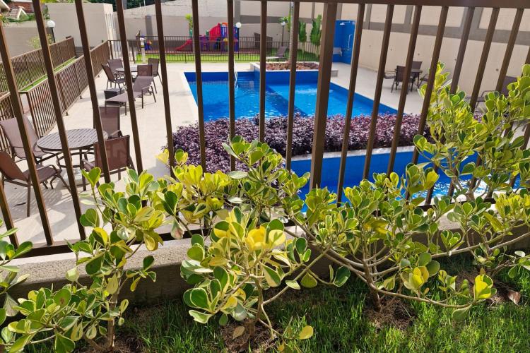 Cohapar entrega 288 apartamentos a famílias de Maringá