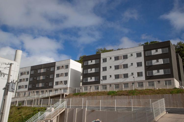 Por meio do Casa Fácil, 368 famílias de Campo Largo recebem imóveis próprios