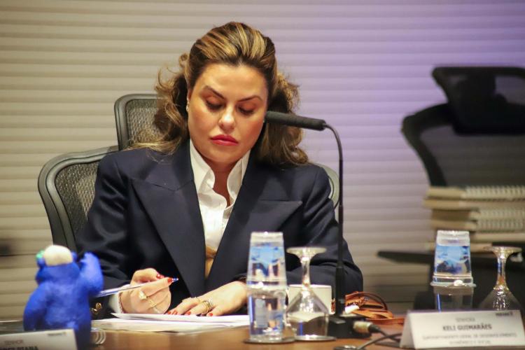 Piana destaca diferenciais do Paraná para a Agência Francesa de Desenvolvimento