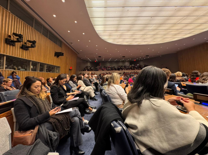 Casa Civil participa da 70ª Sessão da Comissão sobre a Situação da Mulher